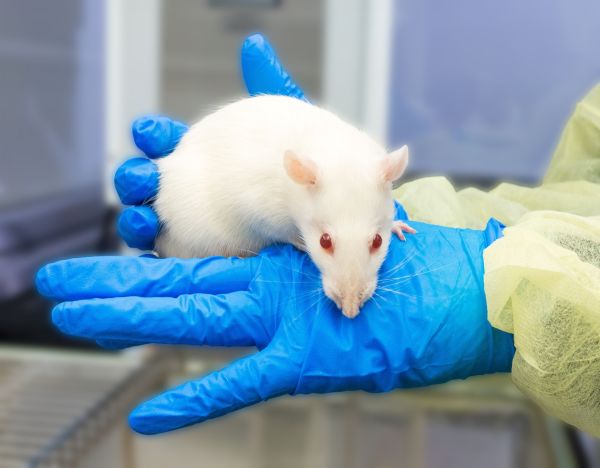 Laboratory Animal Resources Center Tile